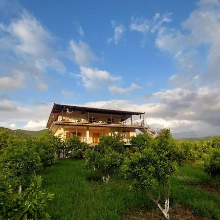 Guest House Xhaferaj Берат Экстерьер фото